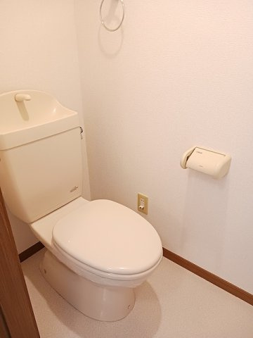 落ち着いた色調のトイレです