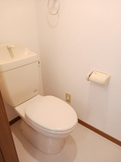 落ち着いた色調のトイレです