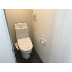 落ち着いた色調のトイレです