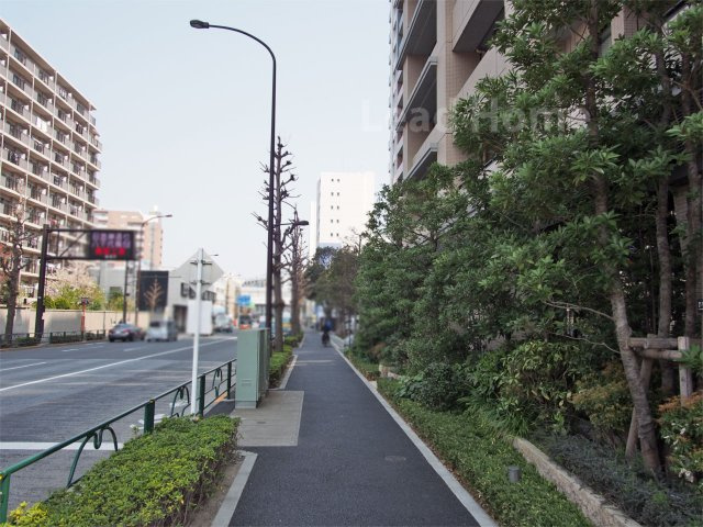 【その他】 | プレミスト北品川 | 前面道路