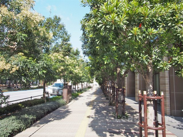【その他】 | パークシティ大崎ザタワー | 前面道路