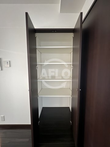 アルグラッド梅田WESTの収納|アルグラッド梅田WEST　クローゼット