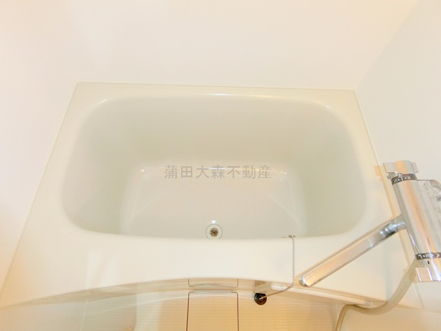 ブライズ蒲田ウエストWESTの浴室