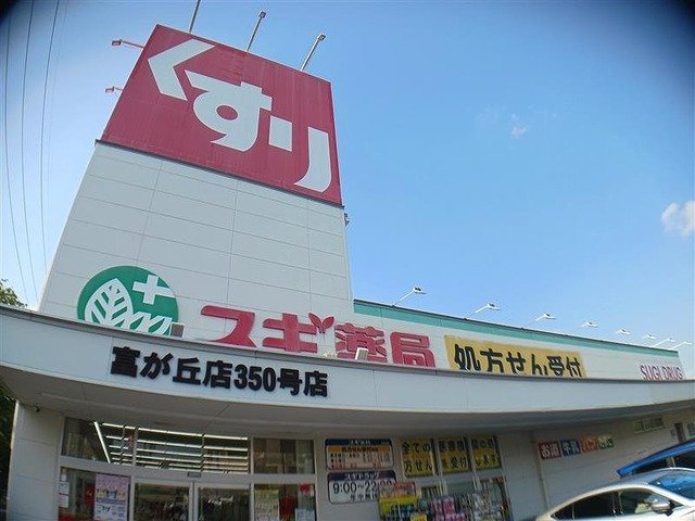 メゾン・ド・ソレイユの周辺|スギ薬局まで260m