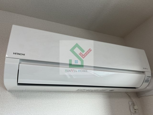 ステラ美光のその他