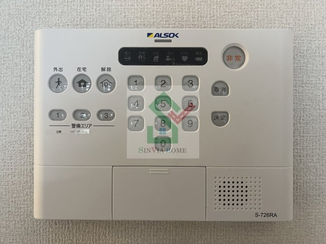 ステラ美光のその他