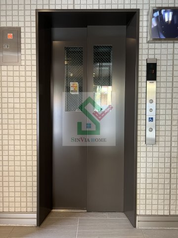 ステラ美光のその他