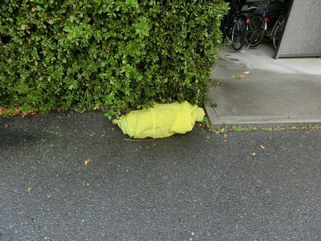 Logement de haut pon（ロジュムドオポー）のその他共用部分