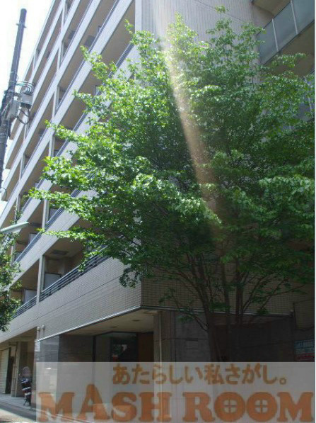 杉並区梅里２丁目の賃貸マンションの外観