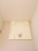 ヴァルスヴァルドのその他