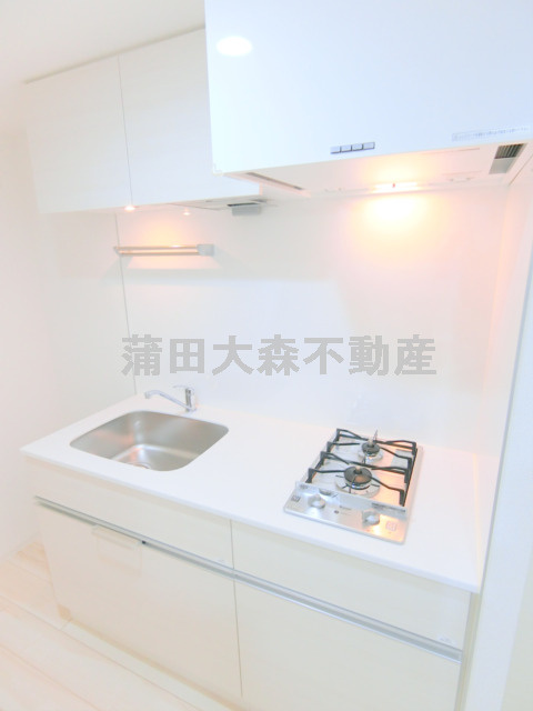 ブライズ蒲田EASTのキッチン|2口ガスシステムキッチン