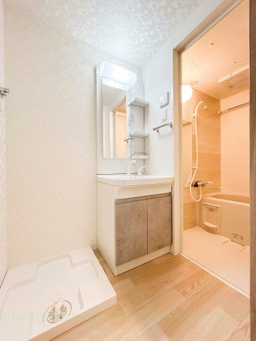 S-RESIDENCE堀田beauteの洗面所