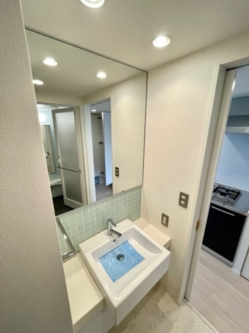 レジディア錦糸町Ⅱの洗面所