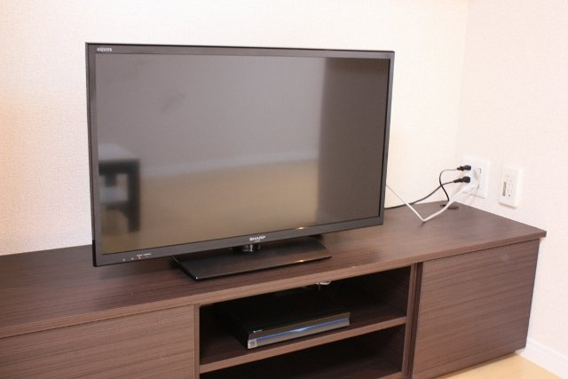 レオネクストシュエットフルールのその他|テレビ