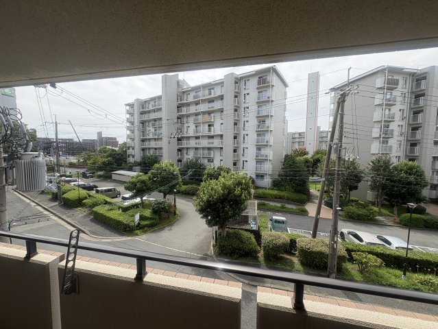 ティーズ緑地の展望