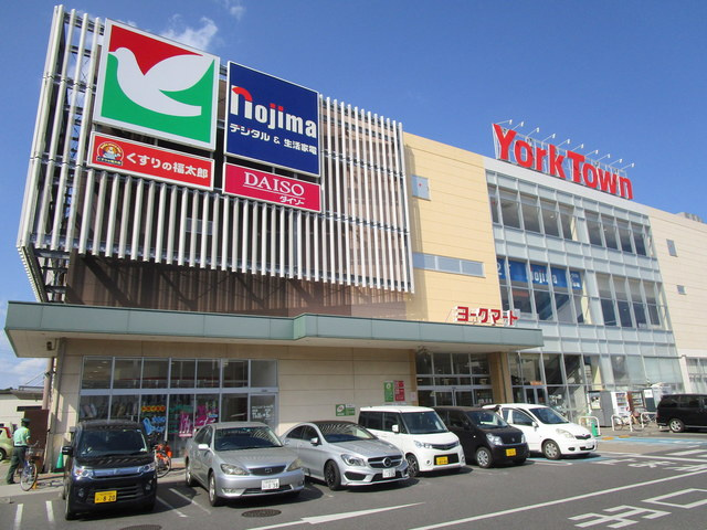 フラワーメゾンのその他|ノジマ鎌ヶ谷店