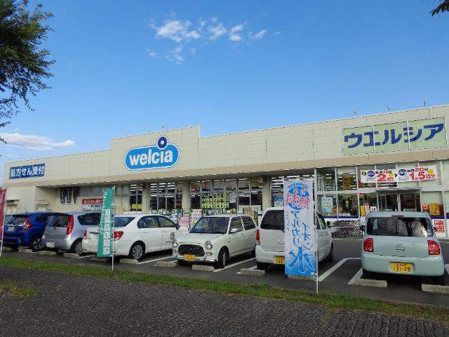 【周辺】 | ルプラ　Ｃ | ウエルシア薬局龍ケ崎長山店まで702ｍ