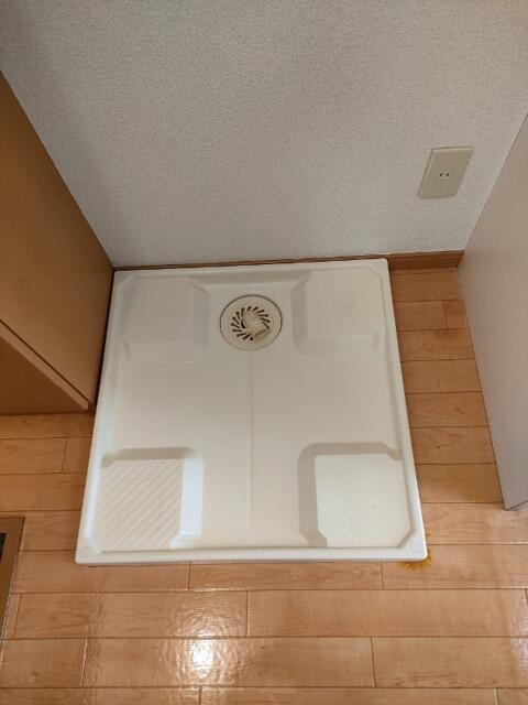 参考写真:205