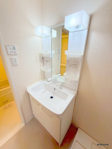 La gracieuse玉川の洗面所