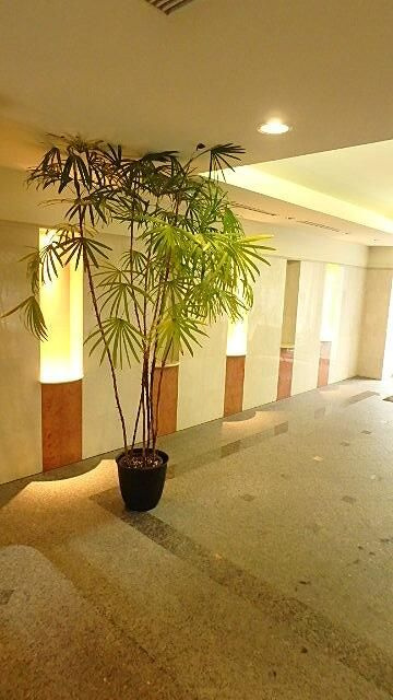 グランハイツ東新宿のロビー