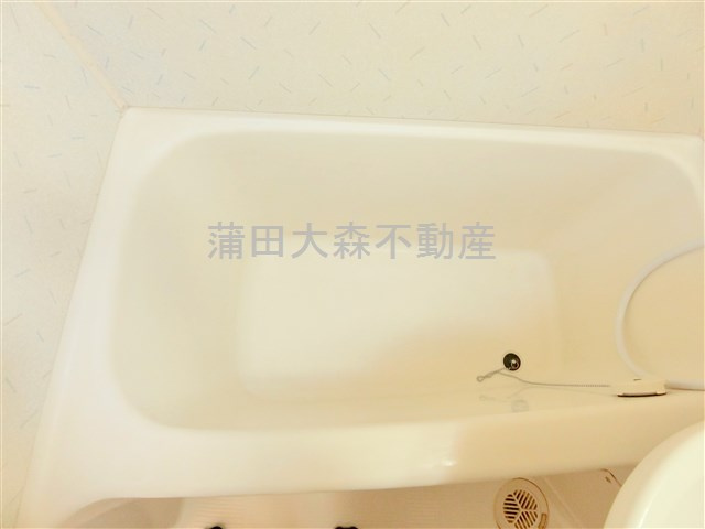 トップ武蔵新田No.1の浴室