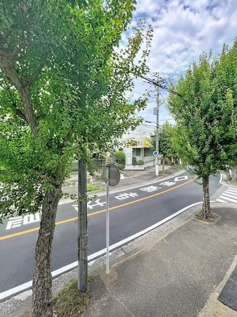 シュシュフルールのその他