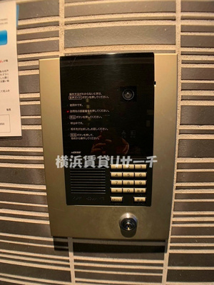  | ベルグレードワイエス