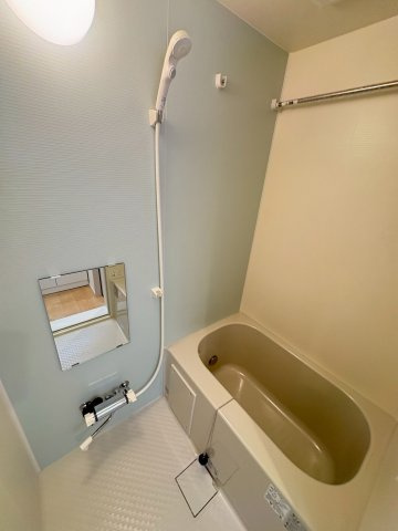 ベレガンス市川の浴室