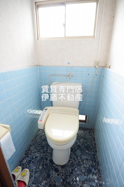 東浦戸建てのトイレ