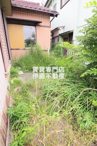 東浦戸建ての庭