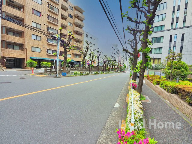【その他】 | ニュー常磐松マンション | 前面道路