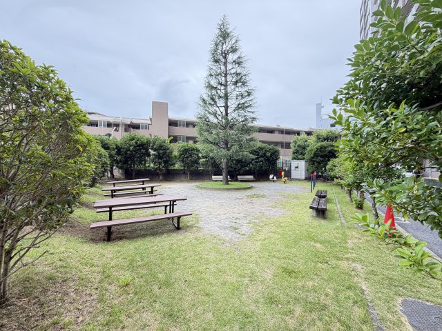 ライオンズプラザ北松戸の周辺