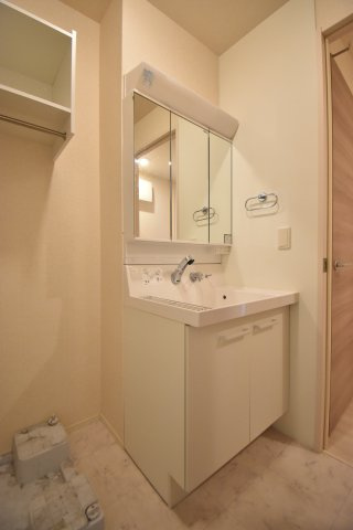 D-roomフォルチェの洗面所