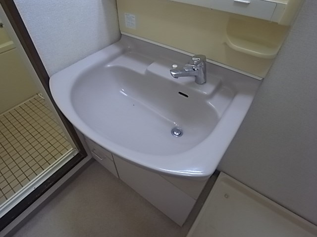 尼崎市大庄北２丁目の賃貸マンションの洗面所