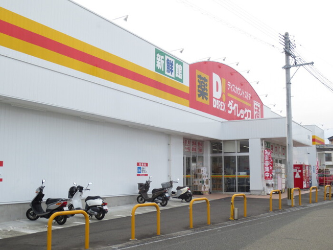 【周辺】 | オアシス加納 Ⅲ | ダイレックス加納店 766ｍ