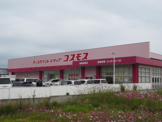 【周辺】 | 恵比寿ガーデンⅡ | ディスカウントドラッグコスモス高鍋樋渡店
