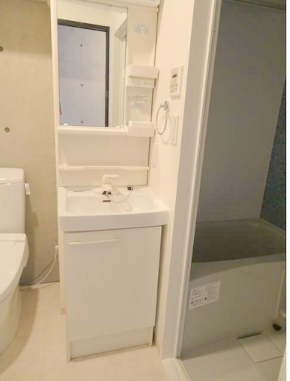 MAXIVbasic大鳥居マキシヴベーシックの洗面所