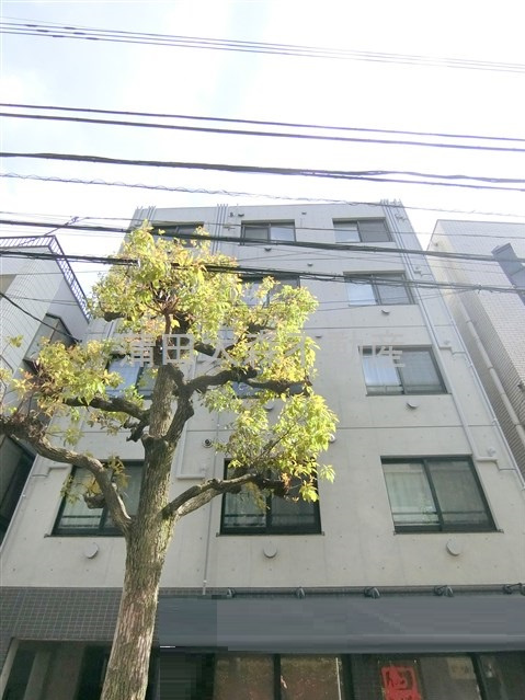 MAXIVbasic大鳥居マキシヴベーシックの外観|2021年7月築　RC鉄筋コンクリート造地上5階建て総戸数23戸 東京都大田区東糀谷3丁目　京急空港線大鳥居駅近徒歩6分　Wi-Fiインターネット無料