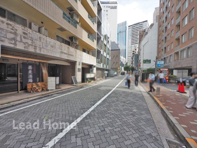 【その他】 | デュオ・スカーラ赤坂Ⅱ | 前面道路
