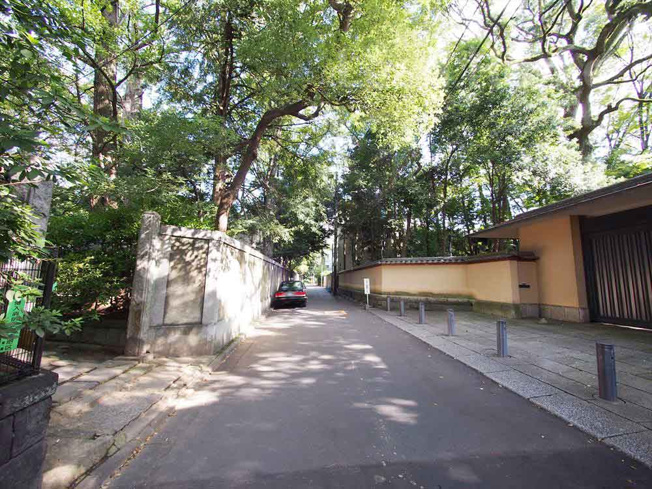 【その他】 | メゾン赤坂 | 前面道路