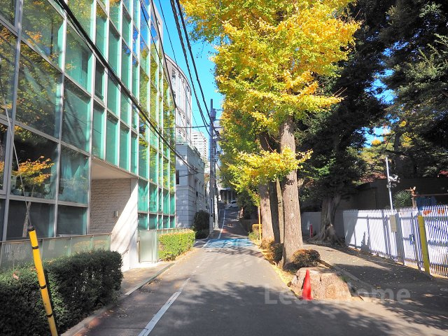 【その他】 | アイビハイツ三田 | 前面道路