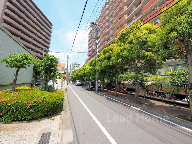 【その他】 | シャンボール三田 | 前面道路