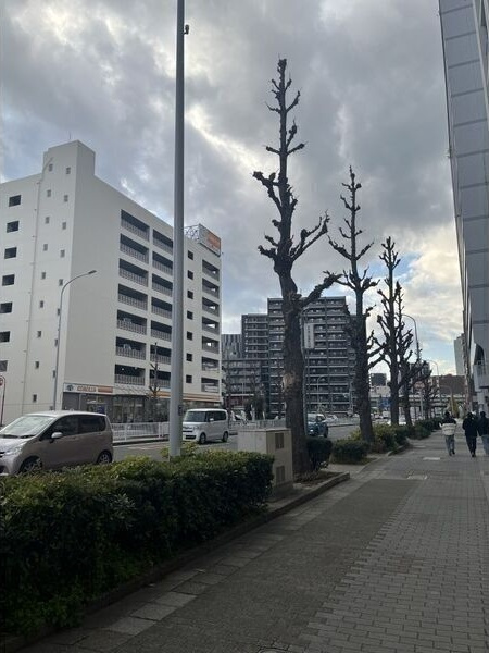 プロシード大須の周辺