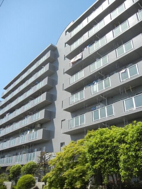 三郷市早稲田３丁目の賃貸マンションの外観