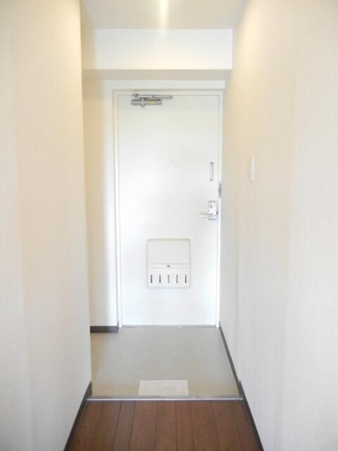 三郷市早稲田３丁目の賃貸マンションの玄関