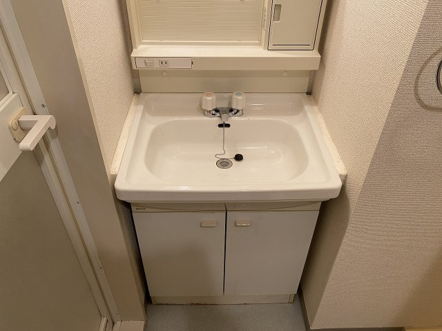 メゾンセルクルの洗面所
