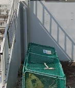 【その他共用部分】 | アーバンコート鶴川(アーバンコートツルカワ)