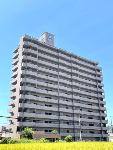 サーパス新田の外観|スーパーやドラッグストア、飲食店が徒歩圏内の便利な立地にあるマンションです。