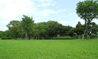 篠崎公園まで414m