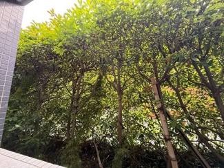 【展望】 | エスティメゾン武蔵小山Ⅱ